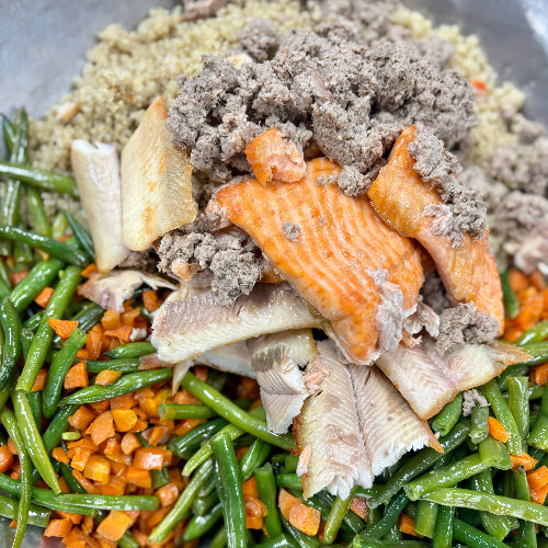 Dog Food: Trout & Sardine